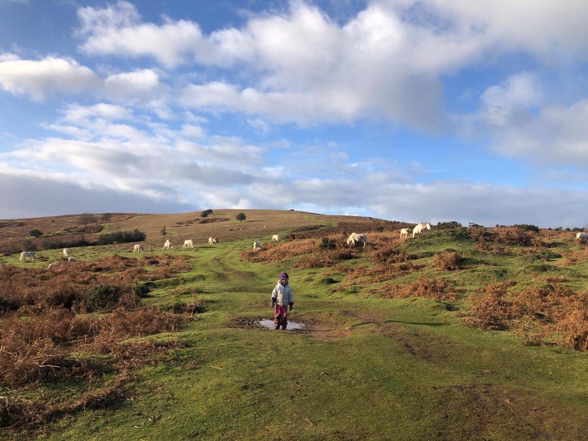 Holiday home Rural Self Contained Cosy Pod House. Garway